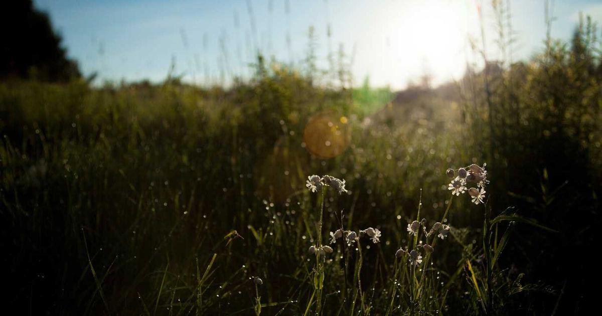 Tren Terbaru: Internet of Things (IoT) dan smart devices