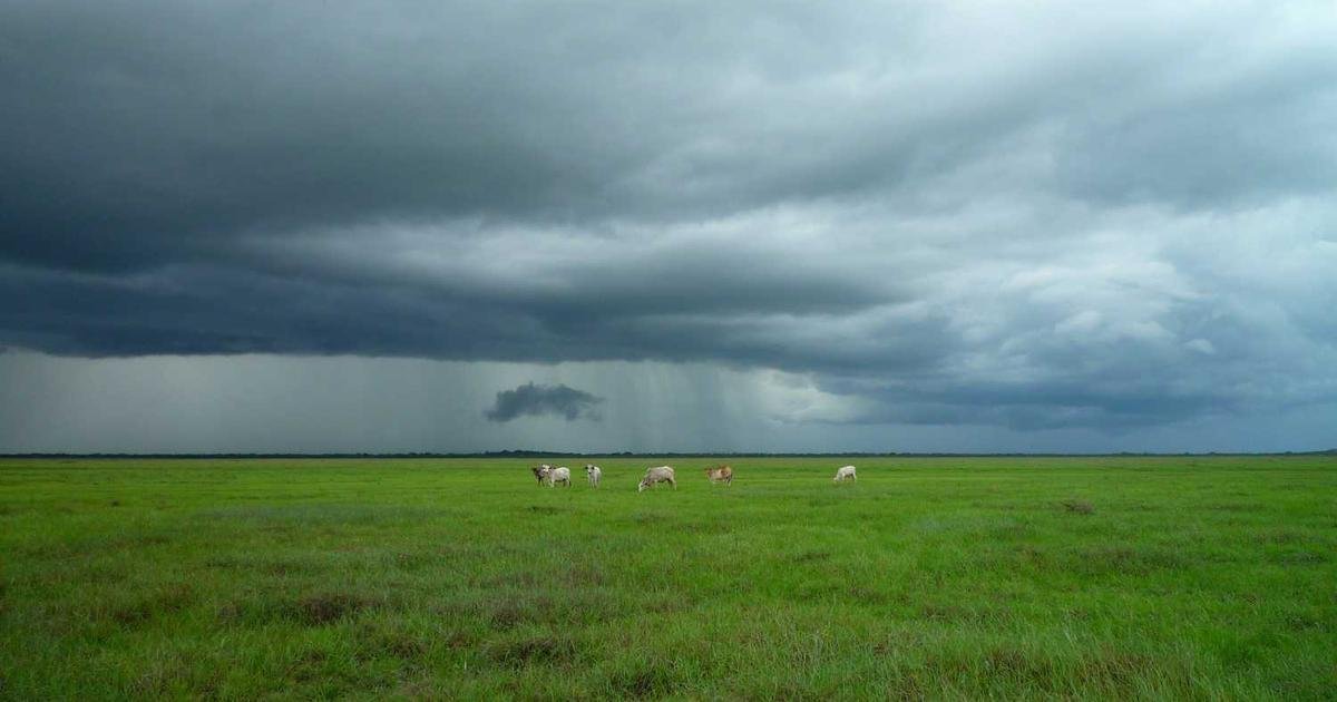 Tren Terbaru: Perkembangan Artificial Intelligence dan Machine Learning terbaru