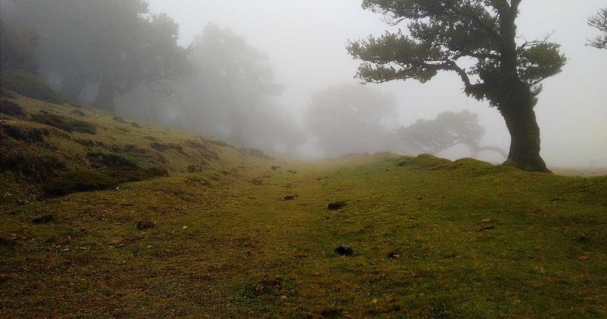 Tren Terbaru: Perkembangan teknologi blockchain dan cryptocurrency