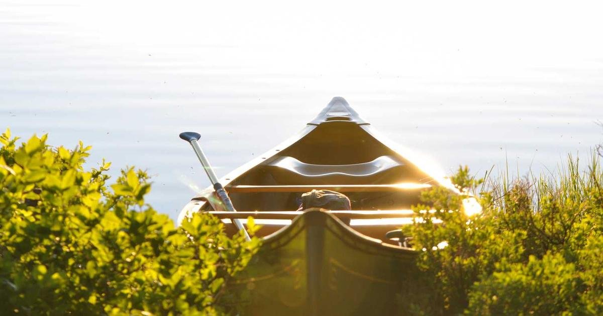 Tren Terbaru: Perkembangan Artificial Intelligence dan Machine Learning terbaru