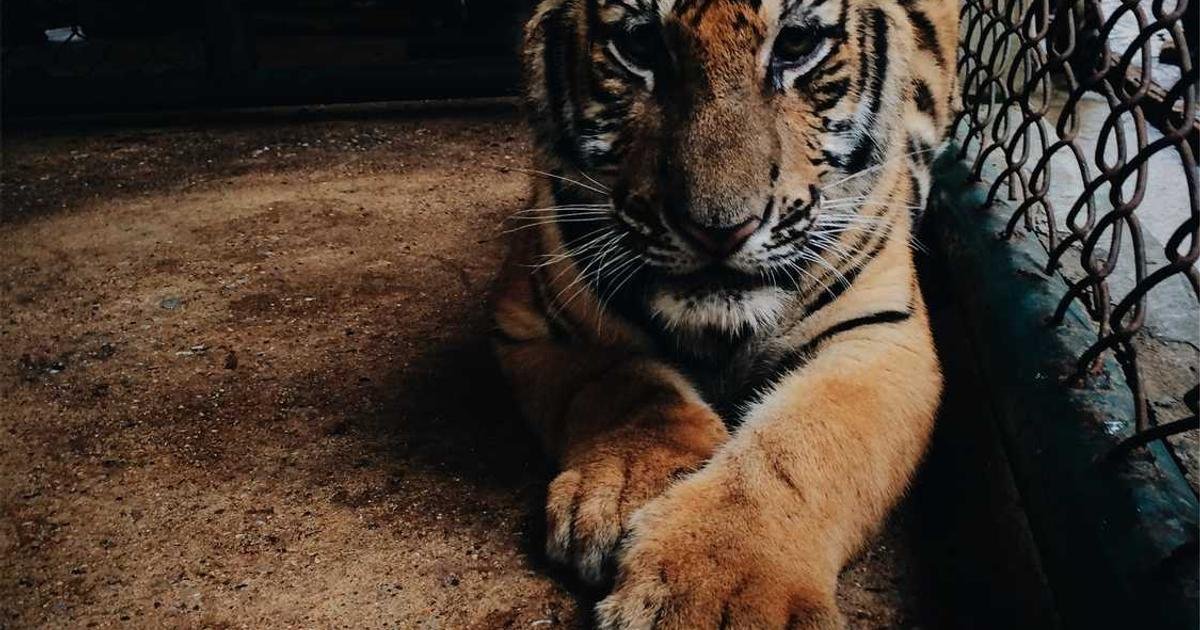 Tren Terbaru: Perkembangan teknologi blockchain dan cryptocurrency