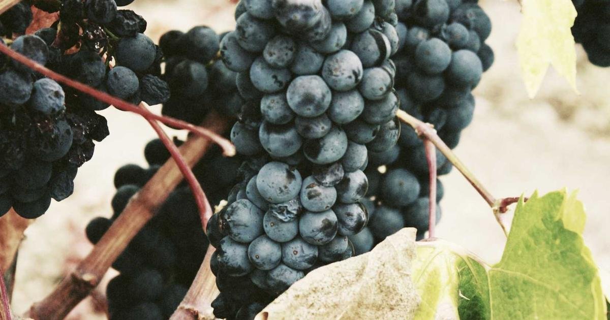 Tren Terbaru: Teknologi Cloud Computing dan infrastruktur modern