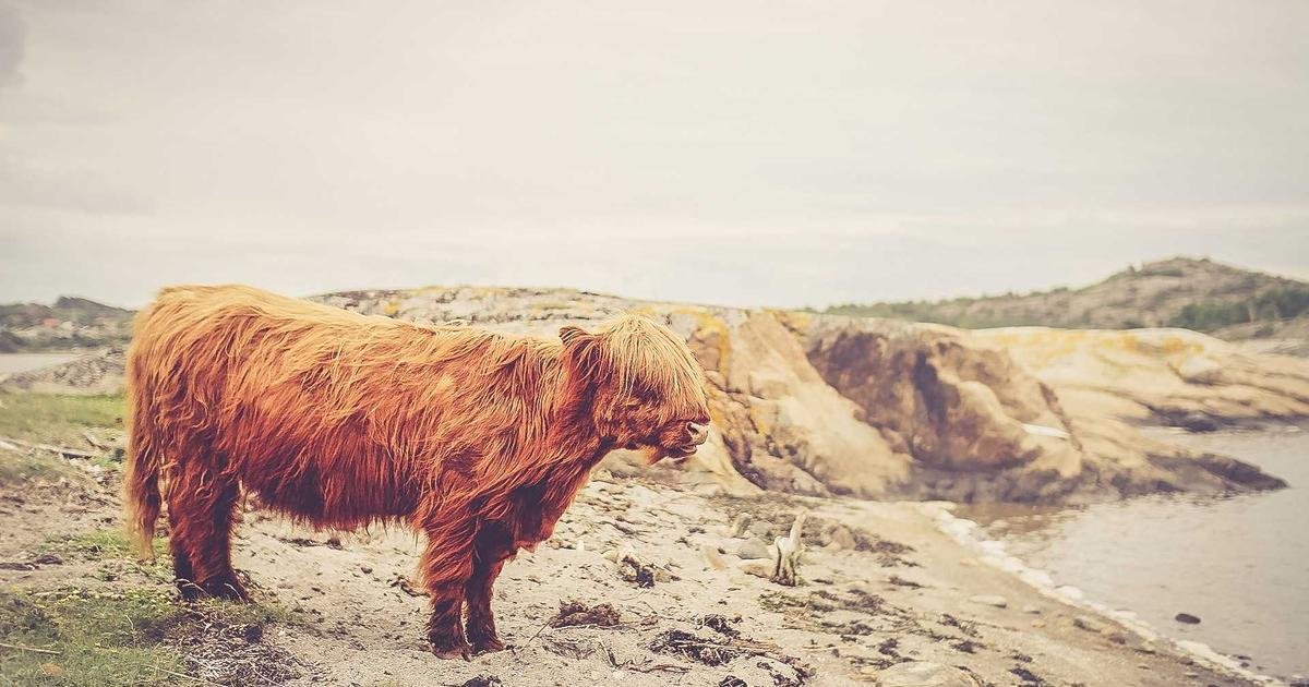 Tren Terbaru: Perkembangan teknologi blockchain dan cryptocurrency