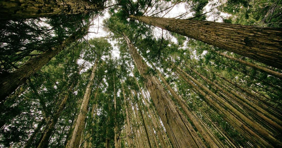 Tren Terbaru: Teknologi 5G dan dampaknya pada industri