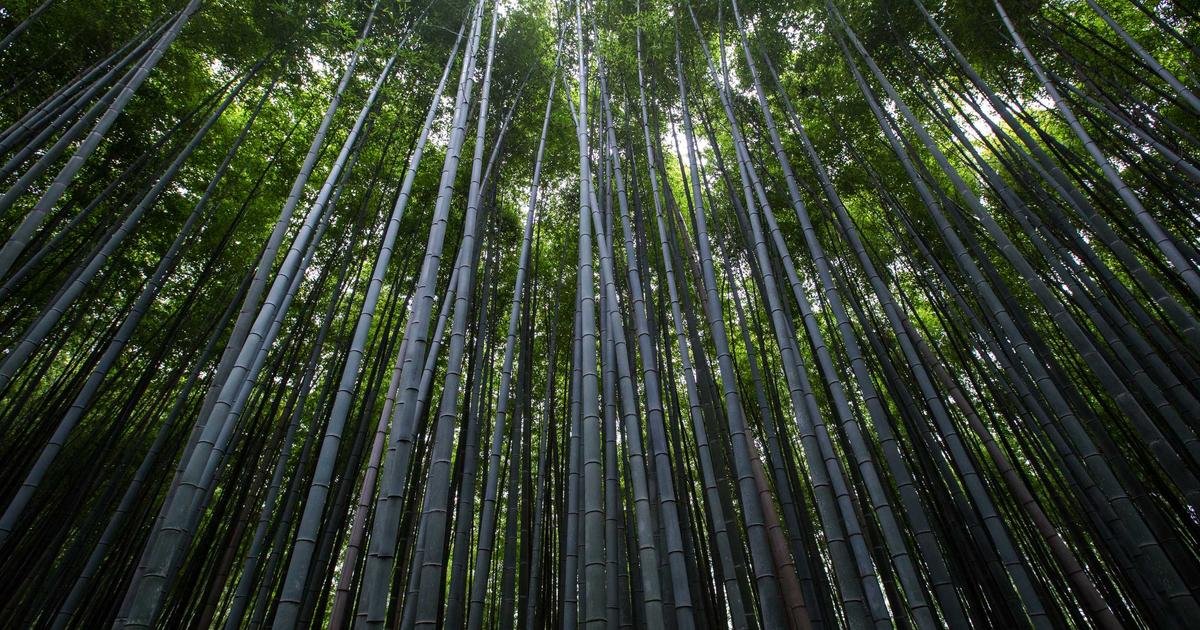 Tren Terbaru: Mobile app development trends dan best practices