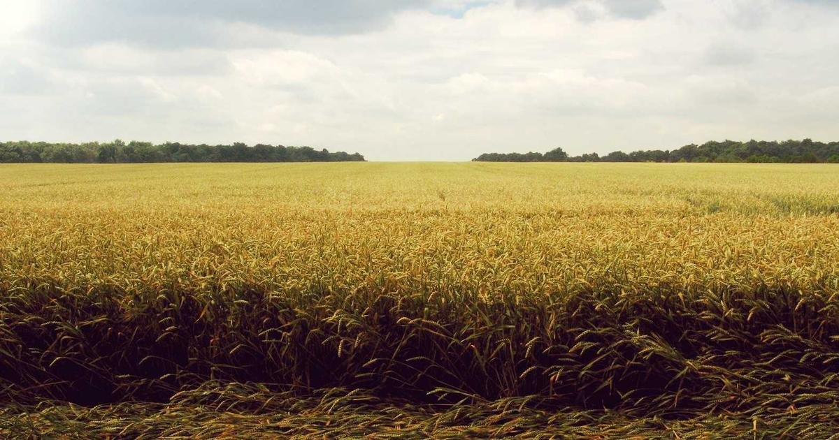 Tren Terbaru: DevOps dan automation dalam software development