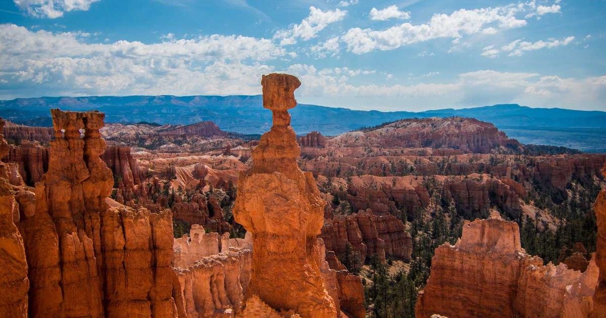 Tren Terbaru: Teknologi Cloud Computing dan infrastruktur modern