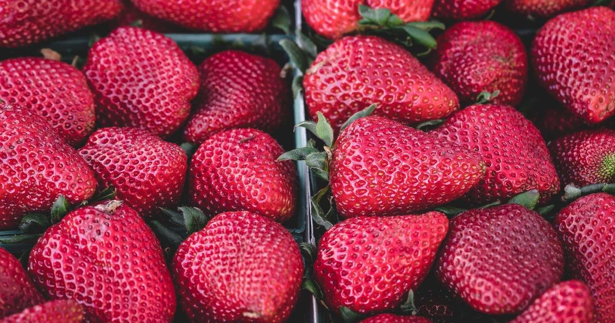 Tren Terbaru: Mobile app development trends dan best practices