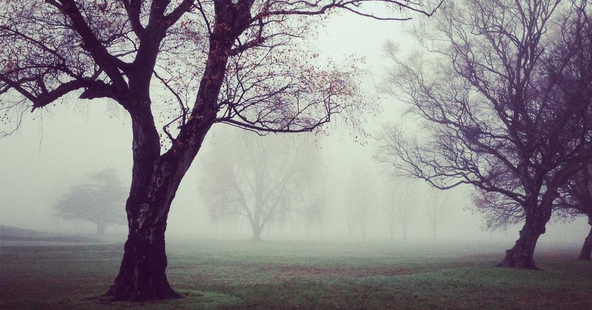 Tren Terbaru: DevOps dan automation dalam software development