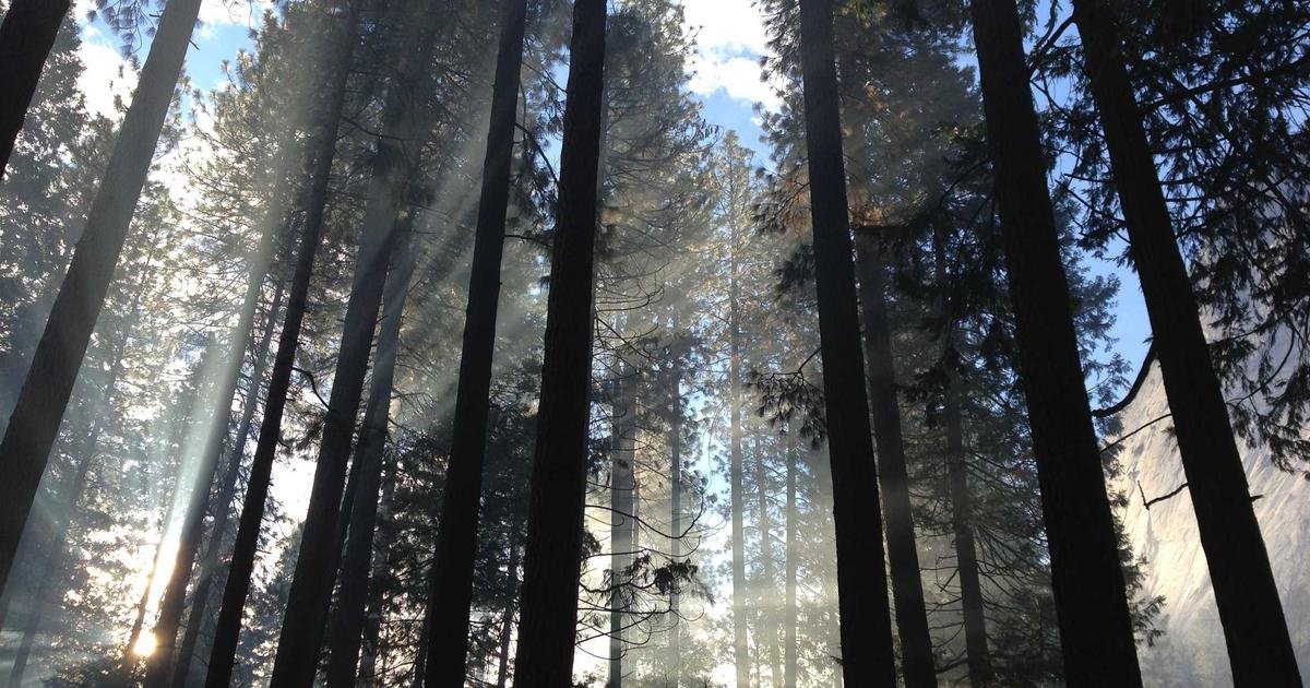 Tren Terbaru: Cybersecurity dan proteksi data di era digital