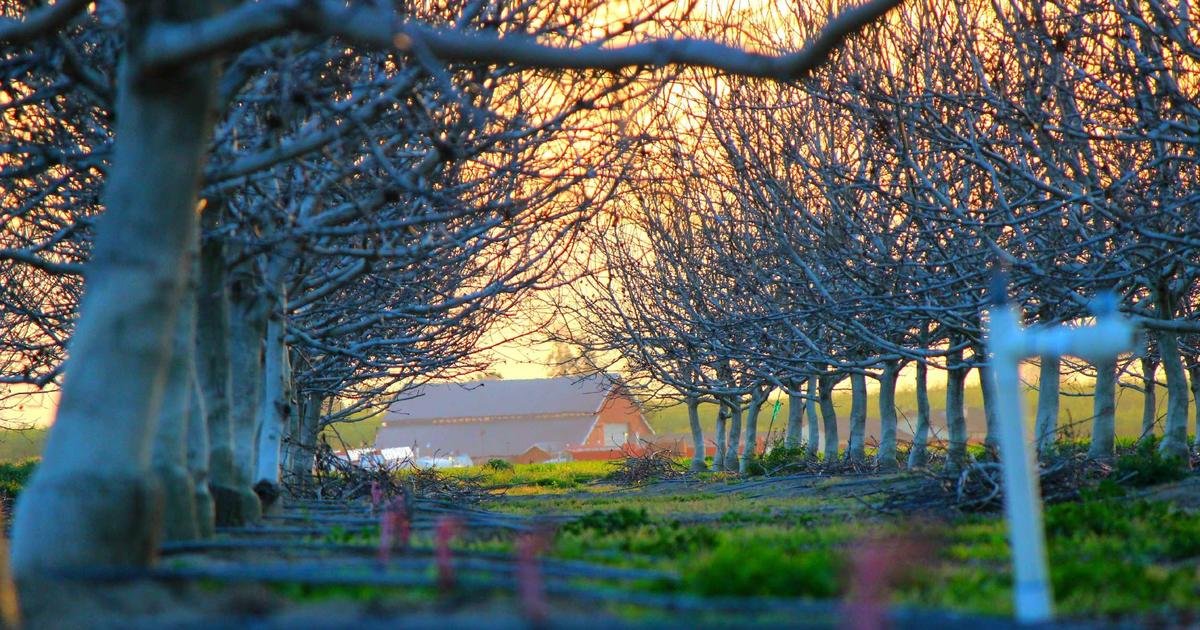 Tren Terbaru: Cybersecurity dan proteksi data di era digital