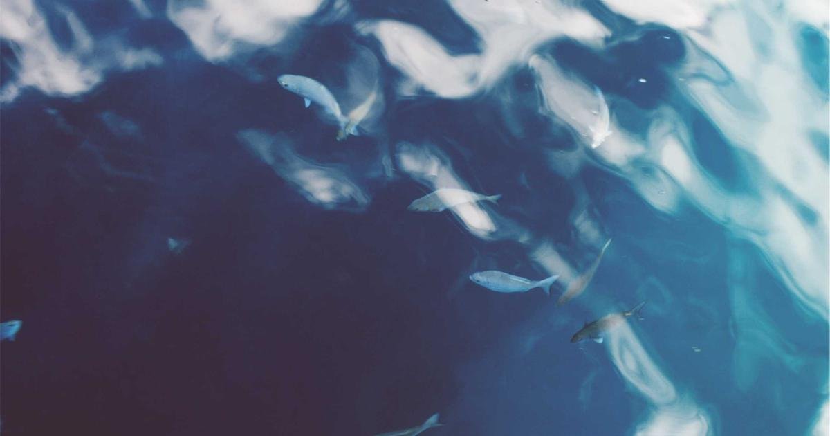 Tren Terbaru: Mobile app development trends dan best practices