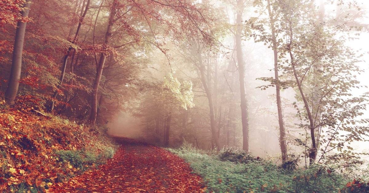 Teknologi Cloud Computing dan infrastruktur modern