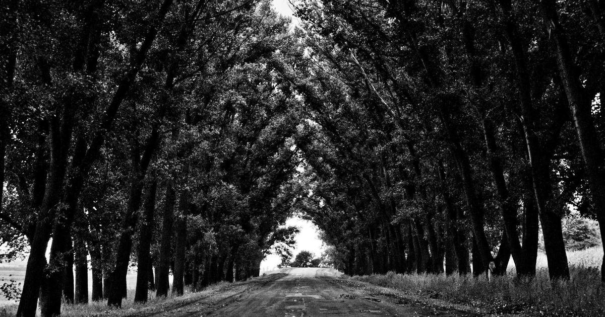 Web Development framework dan tools terbaru