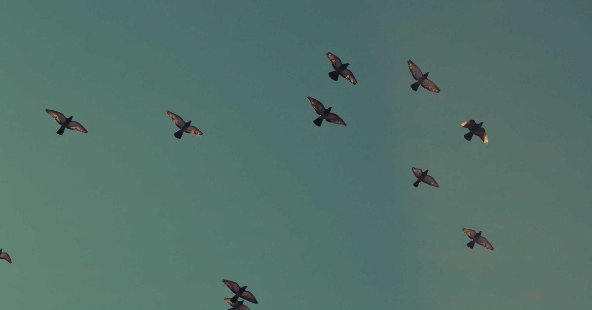 Mobile app development trends dan best practices